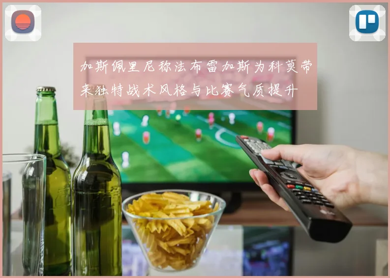 加斯佩里尼称法布雷加斯为科莫带来独特战术风格与比赛气质提升